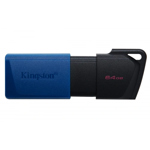 Usb Memory Kingston 64GB Usb 3.2 DT Exidia Dtxm/64Gb