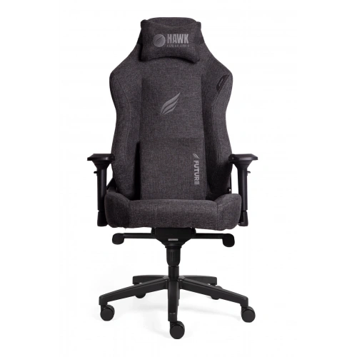 Hawk Future Coal Fabric Gaming Chair